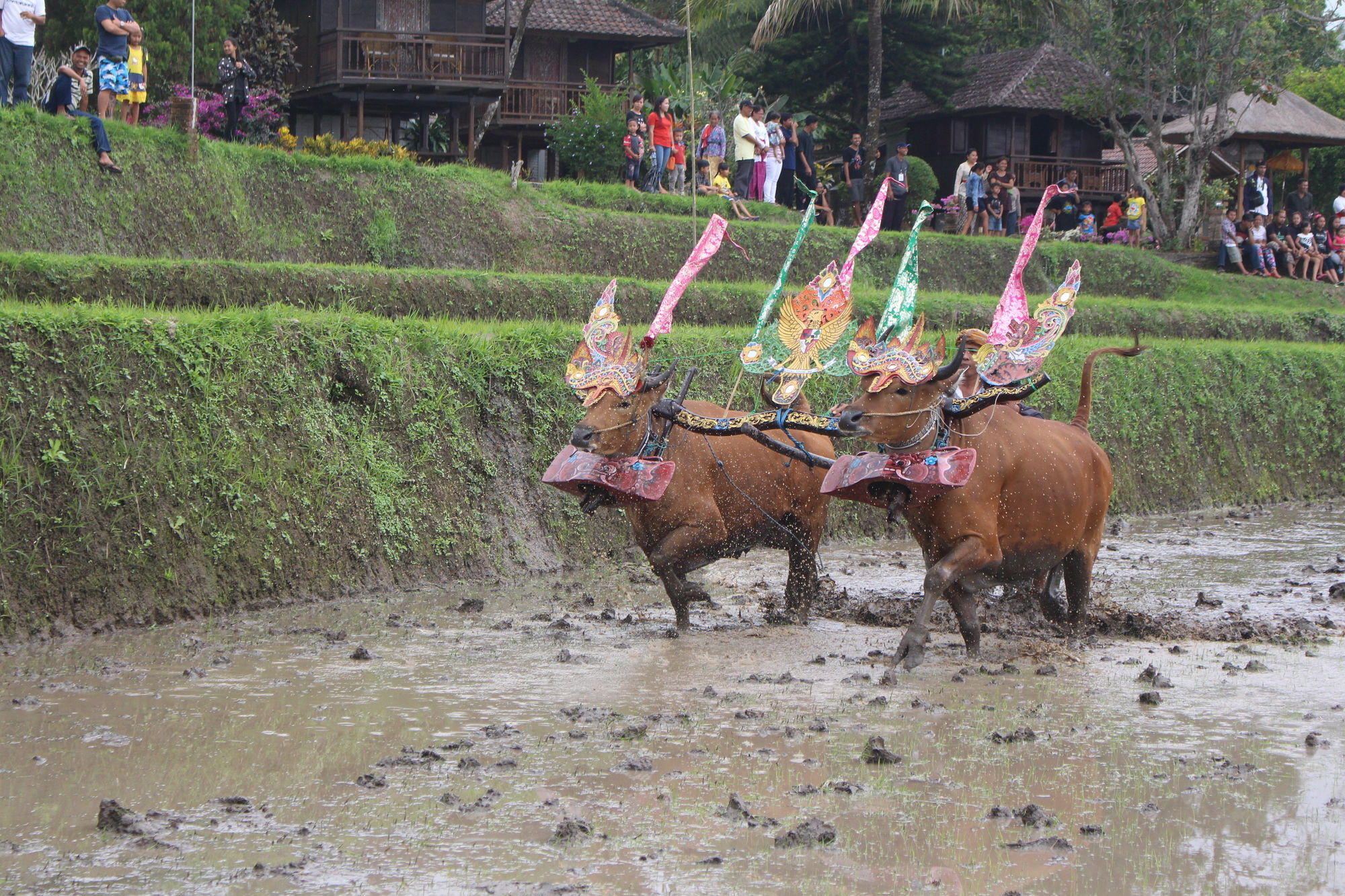 Puri Lumbung Cottages Gobleg  Exterior foto