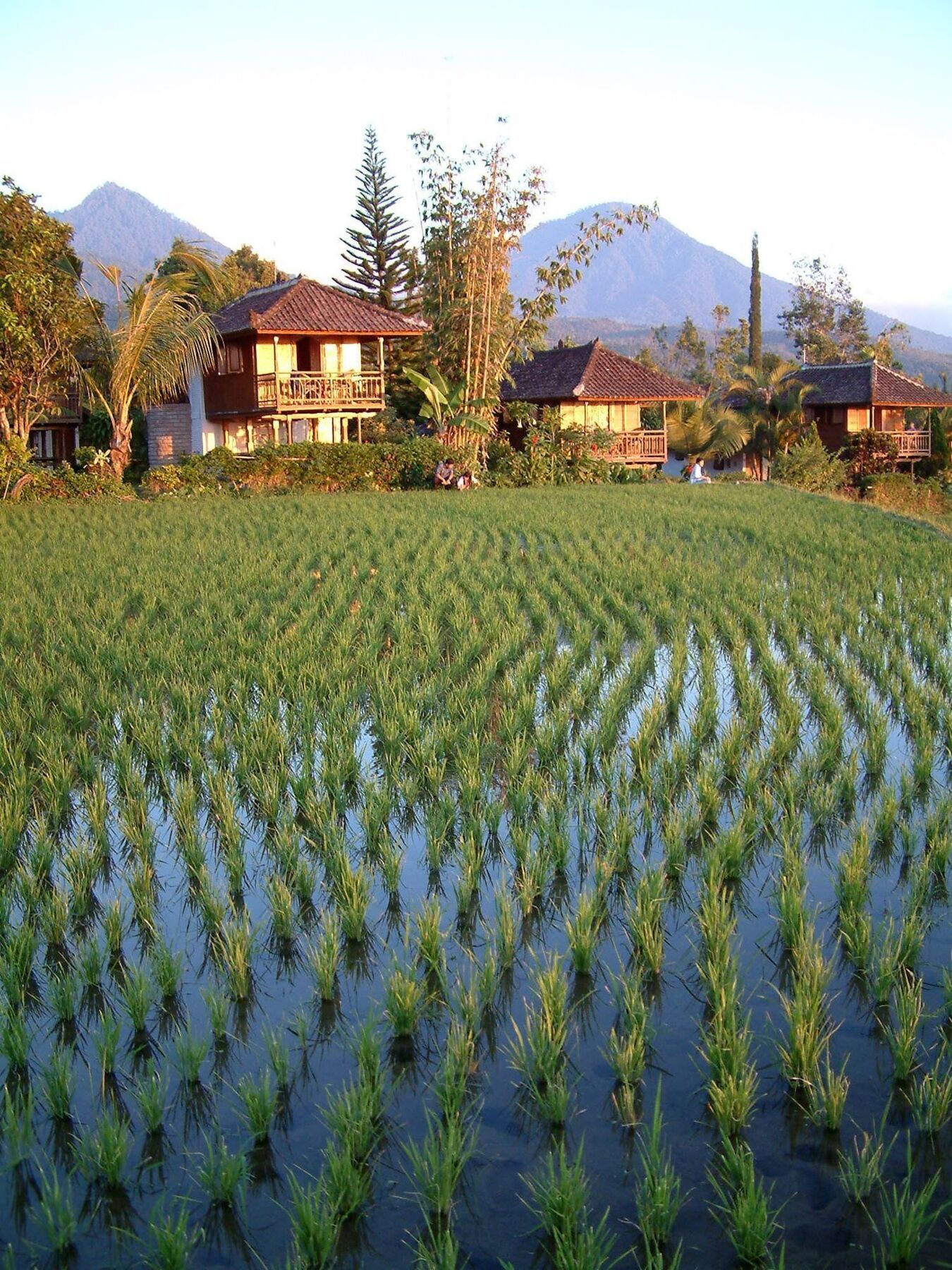 Puri Lumbung Cottages Gobleg  Exterior foto